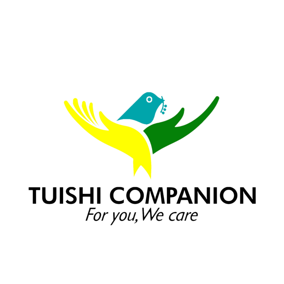Tuishi